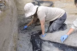 Phát hiện công trình bằng gỗ có thể có từ cách đây gần 500.000 năm