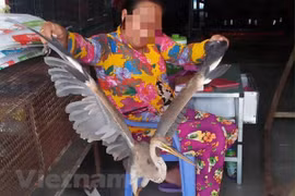 Hoạt động buôn bán động vật hoang dã diễn ra khá công khai tại nhiều khu chợ ở các tỉnh miền Tây. (Ảnh: H.C/Vietnam+)