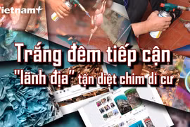 Theo chân người dân đi bẫy bắt chim trời trên đảo Cát Bà. (Ảnh: PV/Vietnam+)