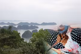 Đảo Cát Bà dần vắng bóng chim trời do vấn nạn bẫy bắt, giết hại chim hoang dã di cư suốt 20 năm qua. (Ảnh: PV/Vietnam+)