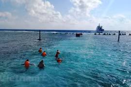 Ảnh chỉ có tính chất minh họa. (Nguồn: Hùng Võ/Vietnam+)