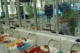 Ảnh chỉ có tính minh họa. (Ảnh: Dương Ngọc/TTXVN)