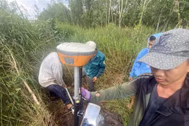 Đo tọa độ cắm mốc giải phóng mặt bằng thực hiện dự án Vành đai 3 tại huyện Bình Chánh. (Ảnh: Tiến Lực/TTXVN)