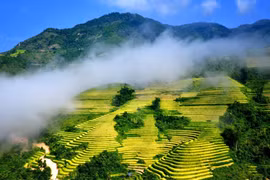 Ruộng bậc thang Sa Pa mùa nước đổ. (Ảnh: Quốc Khánh/TTXVN)
