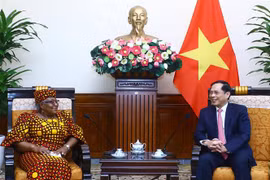 Bộ trưởng Ngoại giao Bùi Thanh Sơn tiếp Tổng Giám đốc Tổ chức Thương mại thế giới (WTO) Ngozi Okonjo-Iweala. (Ảnh: Lâm Khánh/TTXVN)