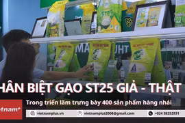 Cận cảnh những mặt hàng sữa, gạo và thực phẩm chức năng thật - giả