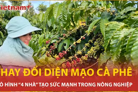 Cộng hưởng sức mạnh: Mô hình "bốn nhà" thay đổi diện mạo càphê Việt