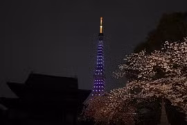 Thủ đô Tokyo của Nhật tắt đèn hưởng ứng giờ Trái đất (Nguồn: AFP)