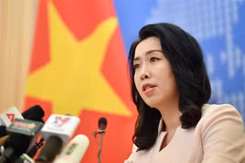 Người phát ngôn Bộ Ngoại giao Lê Thị Thu Hằng. (Ảnh: Lâm Khánh/TTXVN)