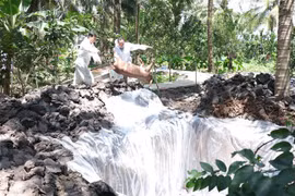 Tiêu hủy lợn nhiễm bệnh tại ổ dịch mới. (Ảnh: Huỳnh Phúc Hậu/TTXVN)