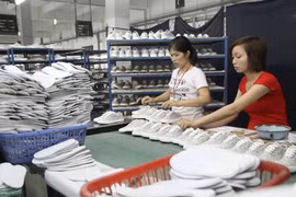 Ảnh chỉ có tính minh họa. (Ảnh: Hoàng Hùng/TTXVN)