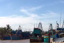 Tàu, thuyền tránh trú bão tại Cảng cá Bình Thắng, huyện Bình Đại, tỉnh Bến Tre. (Ảnh: Trần Thị Thu Hiền/TTXVN)