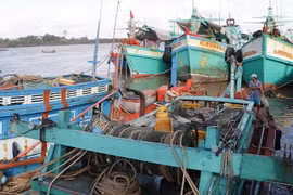 Tàu thuyền đánh bắt thủy sản vào tránh bão Tembin tại cửa biển Nhà Mát, thành phố Bạc Liêu. (Ảnh: Huỳnh Sử/TTXVN)