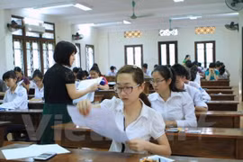 (Ảnh: Xuân Mai/Vietnam+)