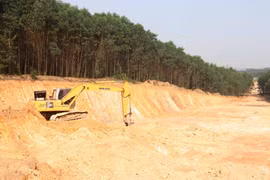 Doanh nghiệp tại Quảng Trị nhận khắc phục việc đào đất rừng trái phép