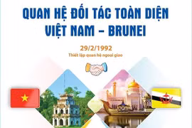 Quan hệ Đối tác toàn diện Việt Nam-Brunei ngày càng phát triển