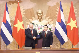 Chuyên gia Cuba: Cuộc hội ngộ giữa những người anh em Việt Nam-Cuba