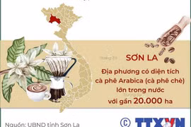 [Infographics] Lễ hội Cà phê Sơn La quảng bá hương vị núi rừng Tây Bắc