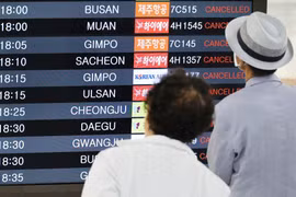 Bão Khannun đổ bộ Hàn Quốc, hàng trăm chuyến bay bị đình chỉ