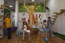 Độc đáo quán càphê mèo giúp giải tỏa áp lực cuộc sống tại Dải Gaza