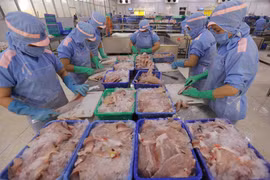 Thủy sản Việt Nam tận dụng từng cơ hội thị trường cuối năm