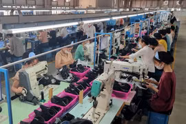Hướng dẫn doanh nghiệp về thủ tục cấp chứng nhận tiêu chuẩn của Ấn Độ
