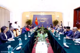 Thứ trưởng Bộ Ngoại giao Đỗ Hùng Việt đã gặp mặt và làm việc với Đoàn Đại sứ các nước châu Phi. (Nguồn: Báo Quốc tế)