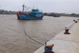 Tàu thuyền của ngư dân được đưa vào neo đậu tránh bão tại cảng cá Đông Tác, thành phố Tuy Hòa. (Ảnh: Phạm Cường/TTXVN)