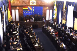 Toàn cảnh phiên họp Thượng viện Bolivia ở thủ đô La Paz ngày 23/11. (Ảnh: AFP/TTXVN)