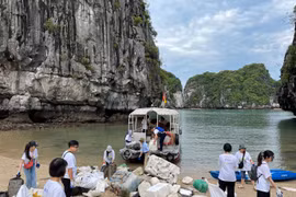 Các tình nguyện viên tham gia hoạt động dọn rác trên Vịnh Hạ Long. (Ảnh: CTV/Vietnam+)
