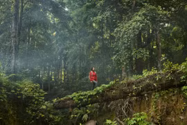 Du khách toàn cầu đang cảm thấy “gánh nặng” từ lựa chọn du lịch bền vững. (Ảnh minh họa: CTV/Vietnam+)