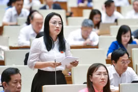 (Ảnh minh họa: Mai Mai/Vietnam+)