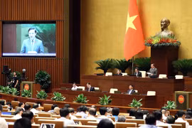 Hôm nay, Quốc hội sẽ tiếp tục thảo luận kế hoạch phát triển kinh tế-xã hội, bình đẳng giới... (Ảnh: TTXVN)