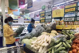 (Ảnh minh họa: Mỹ Phương/TTXVN)
