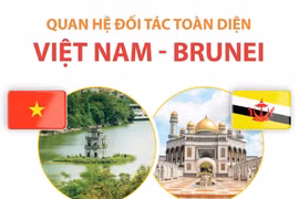 [Infographics] Quan hệ đối tác toàn diện Việt Nam-Brunei