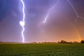 Ảnh minh họa.