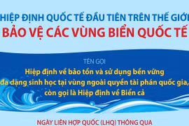 Thông qua Hiệp định về Biển cả nhằm bảo vệ các vùng biển quốc tế