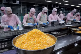 Tâm trạng chung của doanh nghiệp là cố gắng hoạt động cầm cự, giữ đơn hàng. (Ảnh: Hồng Đạt/TTXVN)