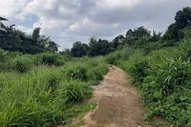 Ảnh minh họa. (Ảnh: Hồng Điệp/TTXVN)