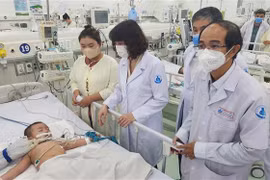 Thứ trưởng Bộ Y tế Nguyễn Thị Liên Hương kiểm tra công tác điều trị bệnh tay chân miệng tại Bệnh viện Nhi đồng 1 Thành phố Hồ Chí Minh. (Ảnh: Đinh Hằng/TTXVN)