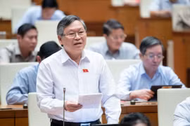 Đại biểu Tô Văn Tám phát biểu tại nghị trường. (Ảnh: PV/Vietnam+)