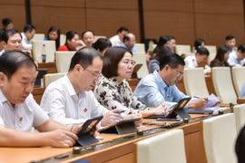 Các đại biểu làm việc chiều nay, 27/11. (Ảnh: CTV/Vietnam+)