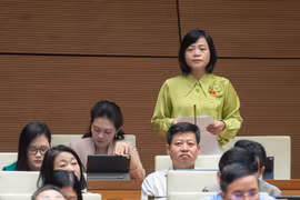Đại biểu Nguyễn Thanh Cầm phát biểu tranh luận. (Ảnh: CTV/Vietnam+)