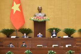 Quốc hội làm việc sáng nay, 28/11. (Ảnh: CTV/Vietnam+)