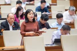 Đại biểu Nguyễn Thị Mai Hoa thảo luận. (Ảnh: CTV/Vietnam+)