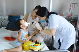 (Ảnh minh họa. Tuấn Anh/TTXVN)