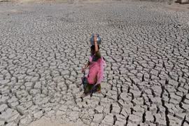 Cảnh hạn hán tại Ahmedabad, Ấn Độ. (Nguồn: AFP/TTXVN)