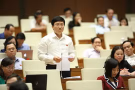 Ảnh minh họa. (Nguồn: Dương Giang/TTXVN)
