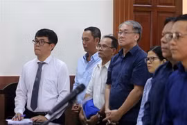 Bị cáo Phạm Công Danh (áo xanh đứng giữa) tại phiên tòa ngày 12/12/2018. (Ảnh: Thành Chung/TTXVN)