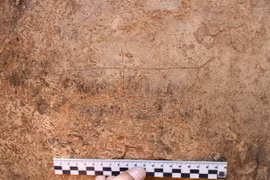 Một hình chạm khắc. (Nguồn: haaretz.com)